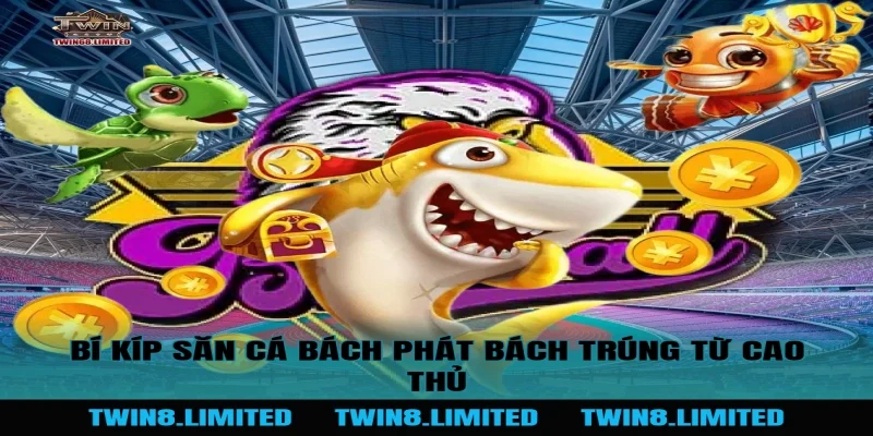 Bí kíp săn cá bách phát bách trúng từ cao thủ