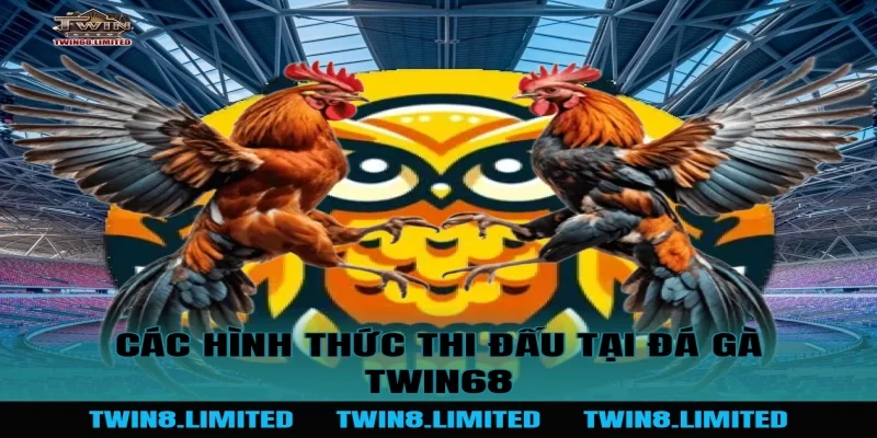 Các Hình Thức Thi Đấu Tại Đá Gà TWIN68