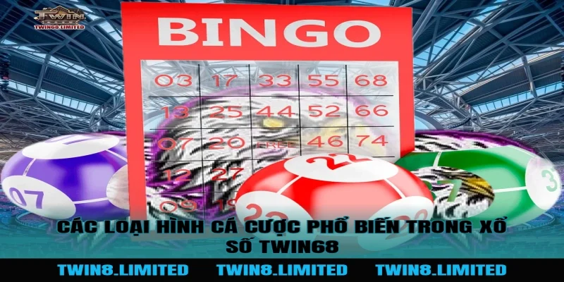 Các loại hình cá cược phổ biến trong Xổ Số TWIN68