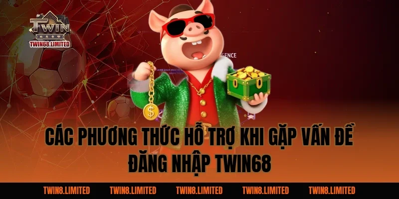 Các phương thức hỗ trợ khi gặp vấn đề đăng nhập TWIN68