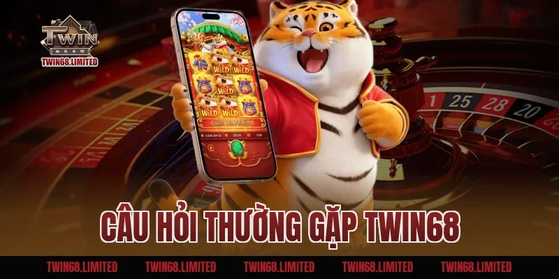 Câu Hỏi Thường Gặp TWIN68