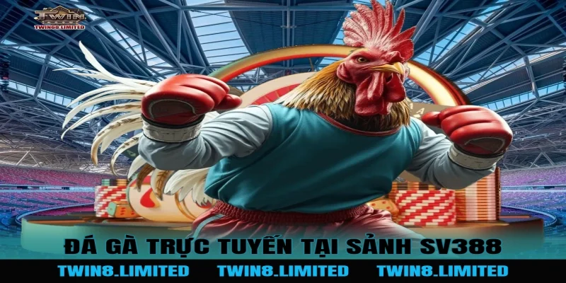Đá gà trực tuyến tại Sảnh SV388
