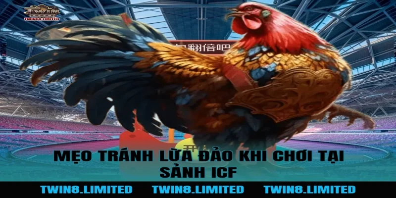 Mẹo tránh lừa đảo khi chơi tại Sảnh ICF