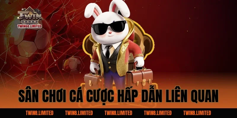 Sân chơi cá cược hấp dẫn liên quan